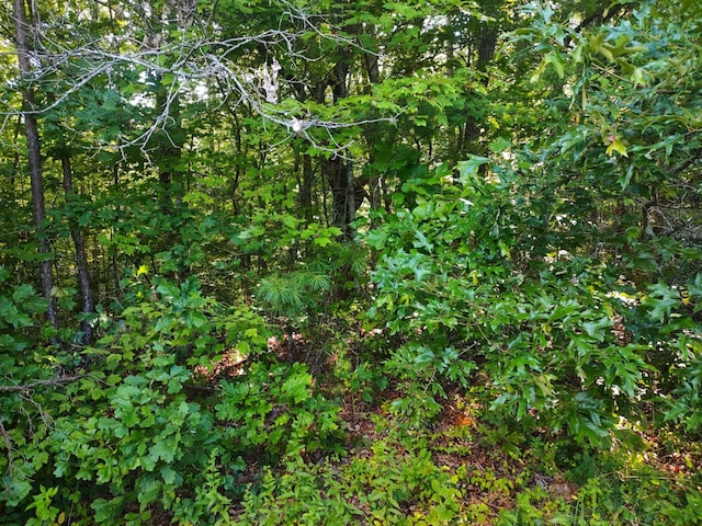 000 Old Gordon Rd, Grandview, TN 37337 - photo 12