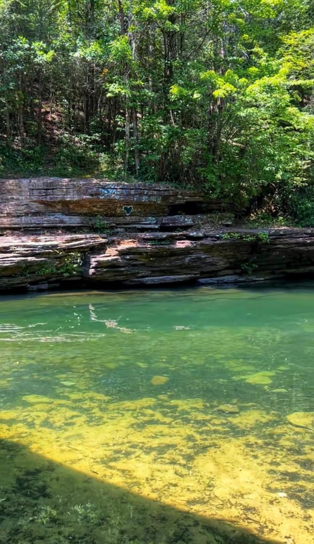 000 Old Gordon Rd, Grandview, TN 37337 - photo 13