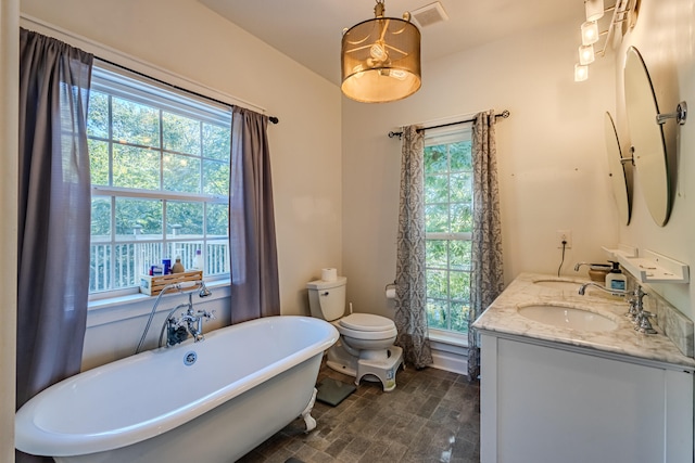 bathroom with a bathing tub, a healthy amount of sunlight, vanity, and toilet