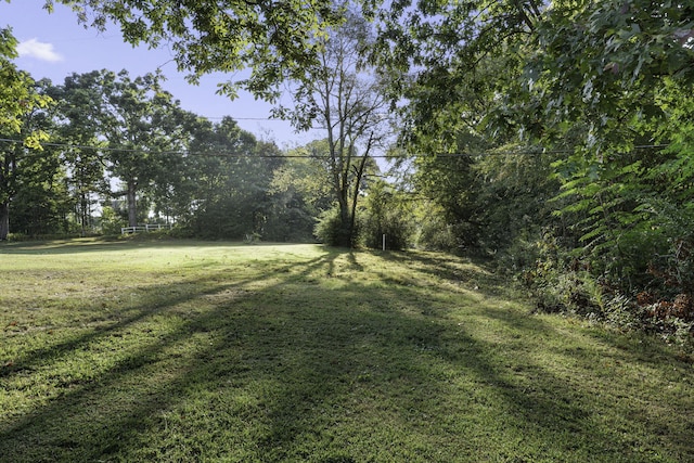 view of yard