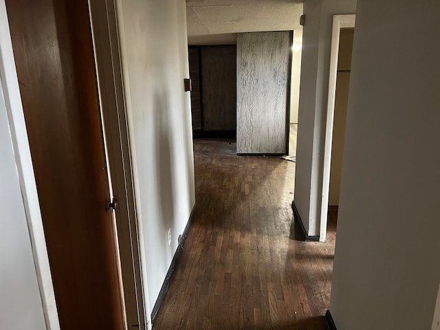 hallway featuring dark hardwood / wood-style flooring