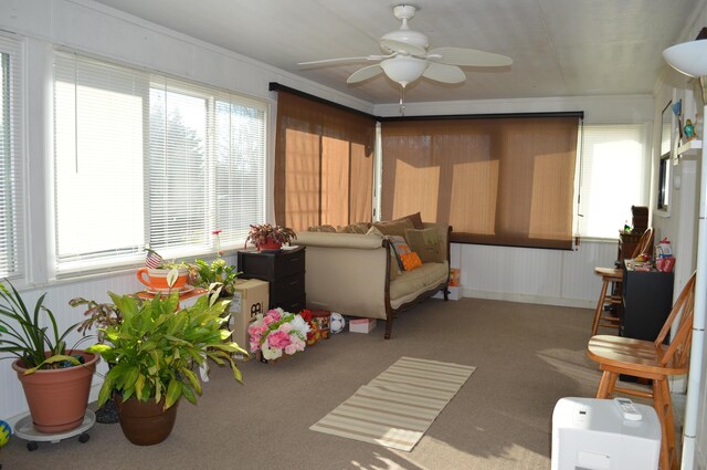 sunroom with ceiling fan and a wealth of natural light