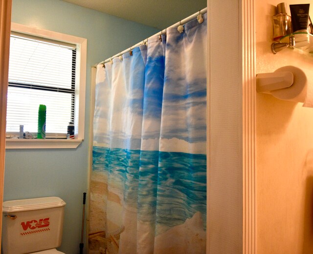 bathroom featuring a shower with curtain and a wealth of natural light