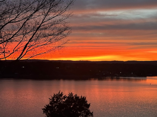 4809 Wind Bluff Cir, Birchwood, TN 37308 - view of water feature