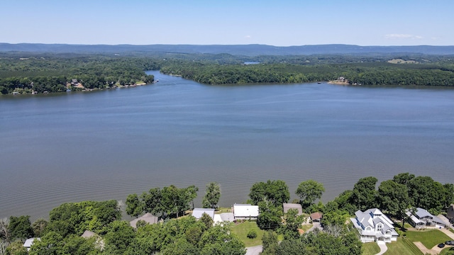 4809 Wind Bluff Cir, Birchwood, TN 37308 - bird's eye view with a forest view and a water view