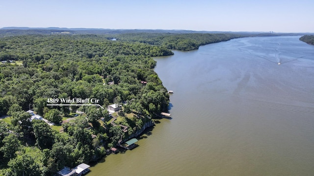 4809 Wind Bluff Cir, Birchwood, TN 37308 - aerial view featuring a wooded view and a water view