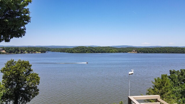 4809 Wind Bluff Cir, Birchwood, TN 37308 - water view