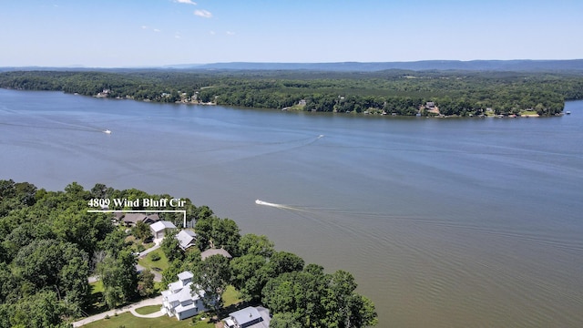 4809 Wind Bluff Cir, Birchwood, TN 37308 - birds eye view of property with a wooded view and a water view