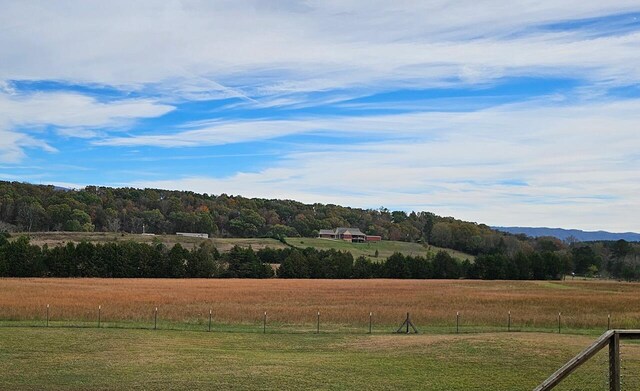 1262 Chestuee Rd, Delano, TN 37325 - photo 4