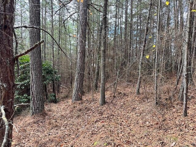 LOT6 Skyline Dr, Turtletown TN, 37391 land for sale