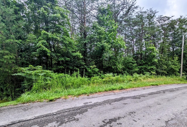 LOT32 Lakeview Dr, Turtletown TN, 37391 land for sale