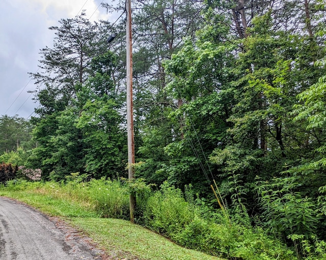 Listing photo 3 for LOT32 Lakeview Dr, Turtletown TN 37391