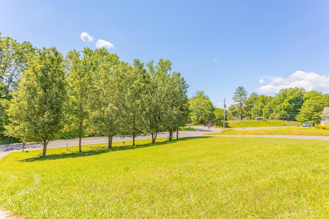 283 Mount Carmel Church Rd, Chatsworth, GA 30705 - photo 15