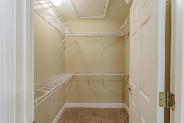 283 Mount Carmel Church Rd, Chatsworth, GA 30705 - photo 28