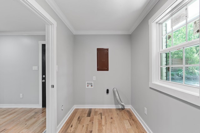 laundry area featuring laundry area, light wood-style flooring, washer hookup, and electric panel