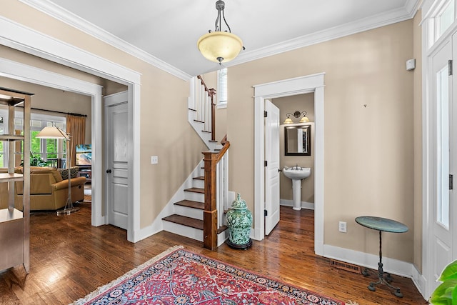 925 Wildcat Run Dr, Loudon, TN 37774 - foyer entrance with ornamental molding, dark wood-type flooring, stairway, and baseboards