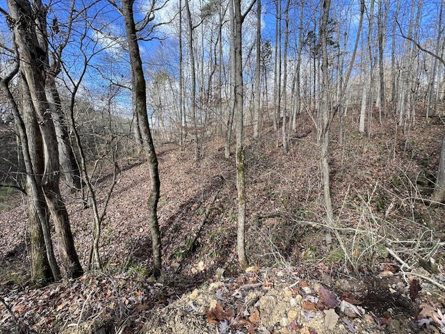 Listing photo 3 for 0 Smyrna Rd, Evensville TN 37332