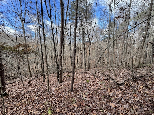 0 Smyrna Rd, Evensville TN, 37332 land for sale