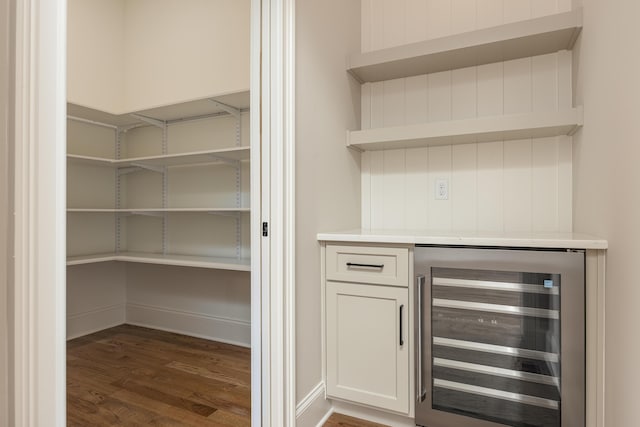 pantry with beverage cooler