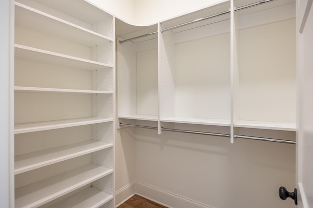 walk in closet with hardwood / wood-style flooring