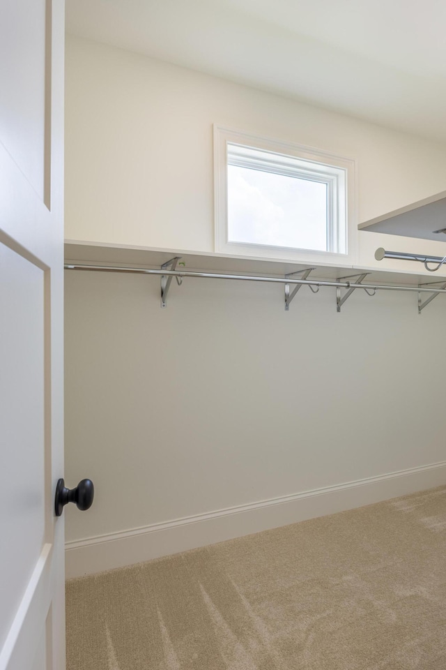 spacious closet with carpet floors