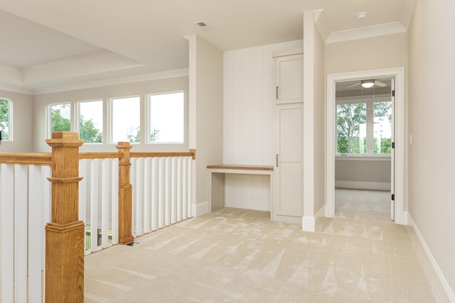 hallway featuring a raised ceiling, light carpet, and crown molding