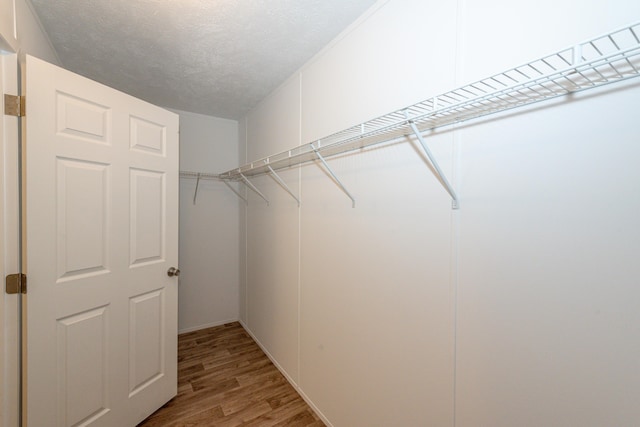 walk in closet featuring light hardwood / wood-style flooring