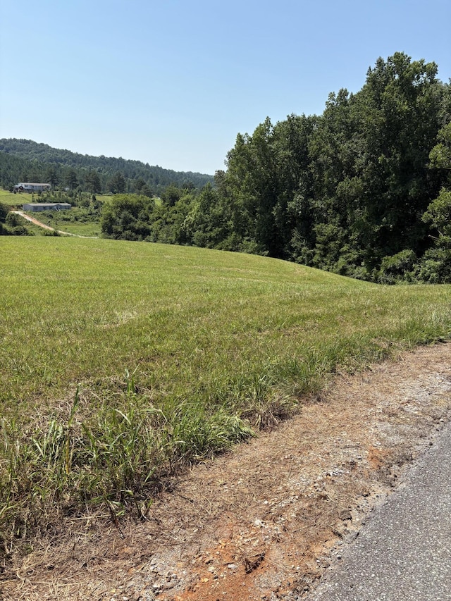 0 Goodfield Rd, Decatur, TN 37322 - photo 2