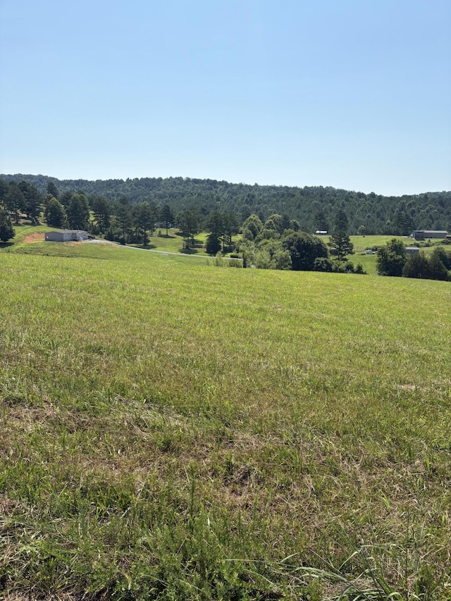 0 Goodfield Rd, Decatur, TN 37322 - photo 1