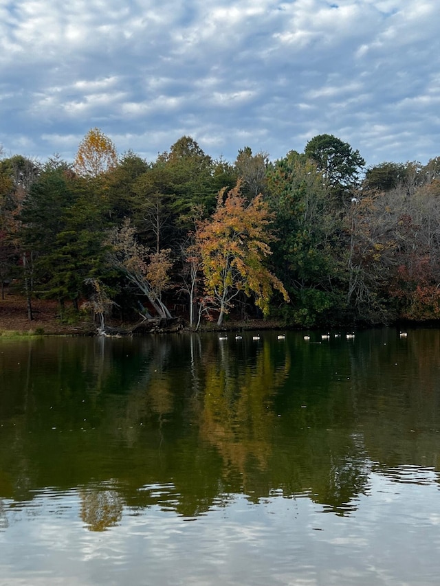 LOT45 Pin Hook Rd, Spring City, TN 37381