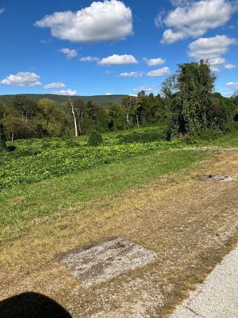 Listing photo 2 for 0 Rhea County Hwy, Spring City TN 37381