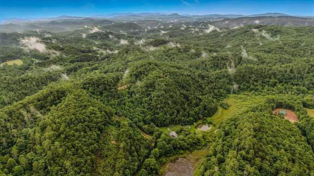 118A Price Rd, Reliance, TN 37369 - photo 30