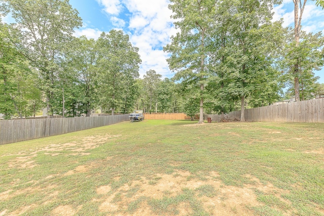 7566 Grasshopper Rd, Georgetown, TN 37336 - photo 6