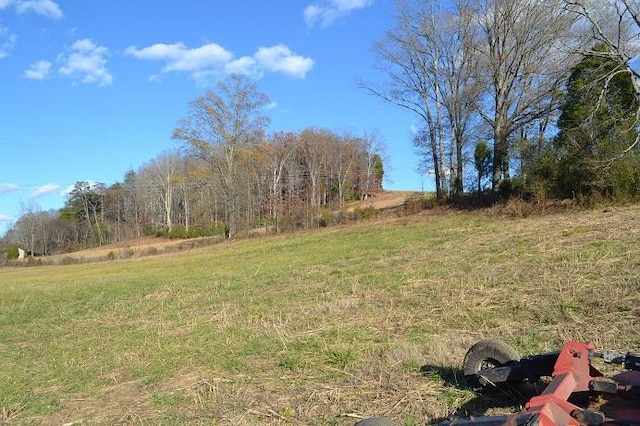 90AC Old Rhea Springs Rd, Spring City, TN 37381 - photo 10