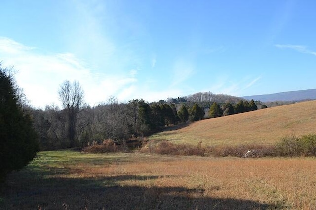 90AC Old Rhea Springs Rd, Spring City, TN 37381 - photo 11