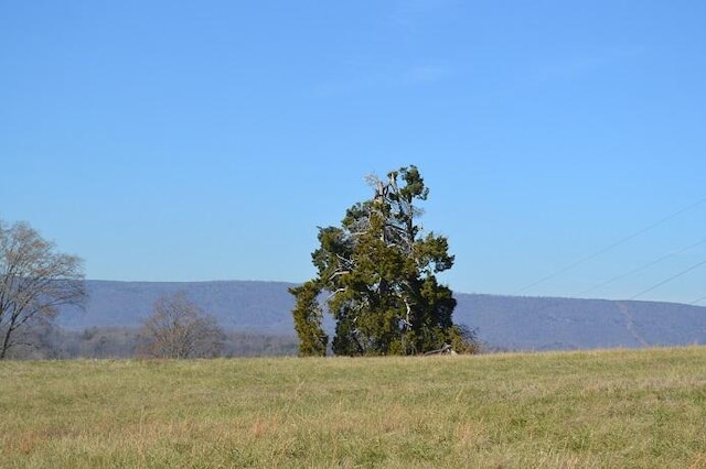 90AC Old Rhea Springs Rd, Spring City, TN 37381 - photo 4