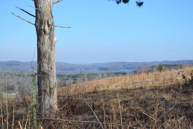 90AC Old Rhea Springs Rd, Spring City, TN 37381 - photo 16