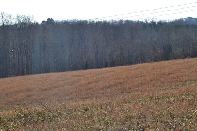 90AC Old Rhea Springs Rd, Spring City, TN 37381 - photo 5