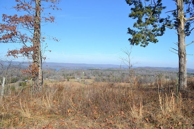 90AC Old Rhea Springs Rd, Spring City, TN 37381 - photo 17