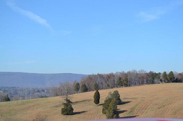 90AC Old Rhea Springs Rd, Spring City, TN 37381 - photo 7
