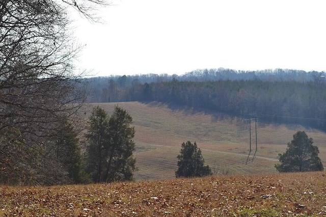 90AC Old Rhea Springs Rd, Spring City, TN 37381 - photo 14