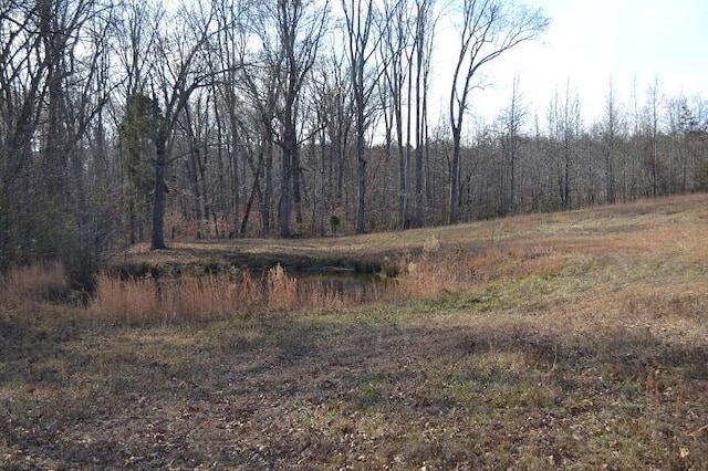 90AC Old Rhea Springs Rd, Spring City, TN 37381 - photo 8