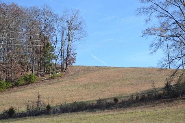 90AC Old Rhea Springs Rd, Spring City, TN 37381 - photo 3