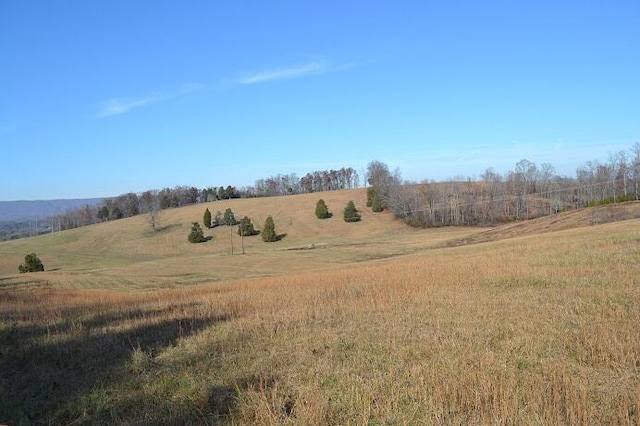 90AC Old Rhea Springs Rd, Spring City, TN 37381 - photo 1