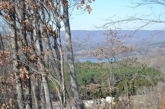 90AC Old Rhea Springs Rd, Spring City, TN 37381 - photo 15
