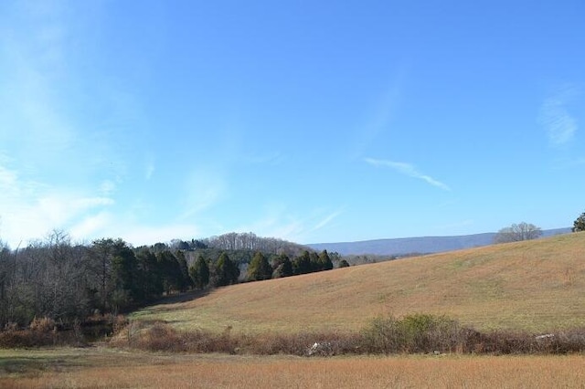 90AC Old Rhea Springs Rd, Spring City, TN 37381 - photo 12