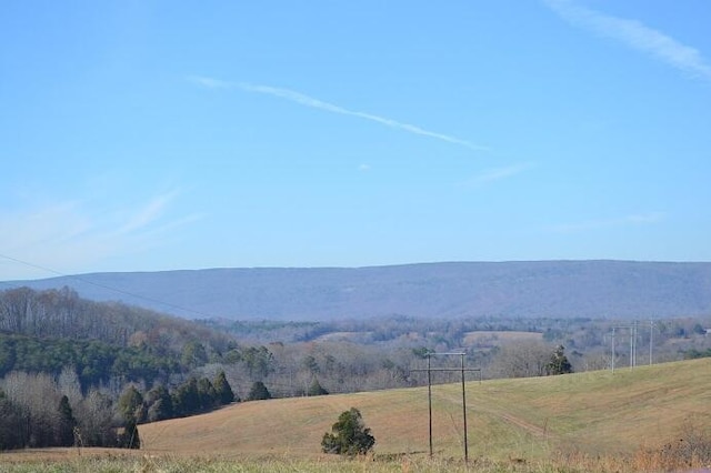 90AC Old Rhea Springs Rd, Spring City, TN 37381 - photo 6