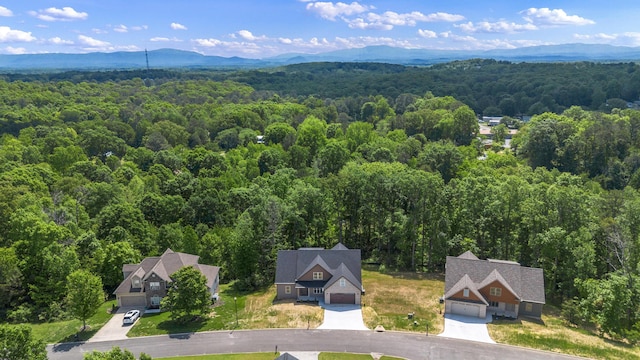 173 Orrie Moss Ct SE, Cleveland, TN 37323 - photo 43