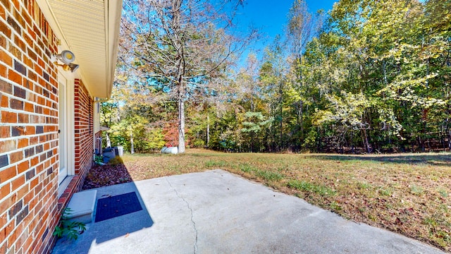 view of yard featuring a patio area