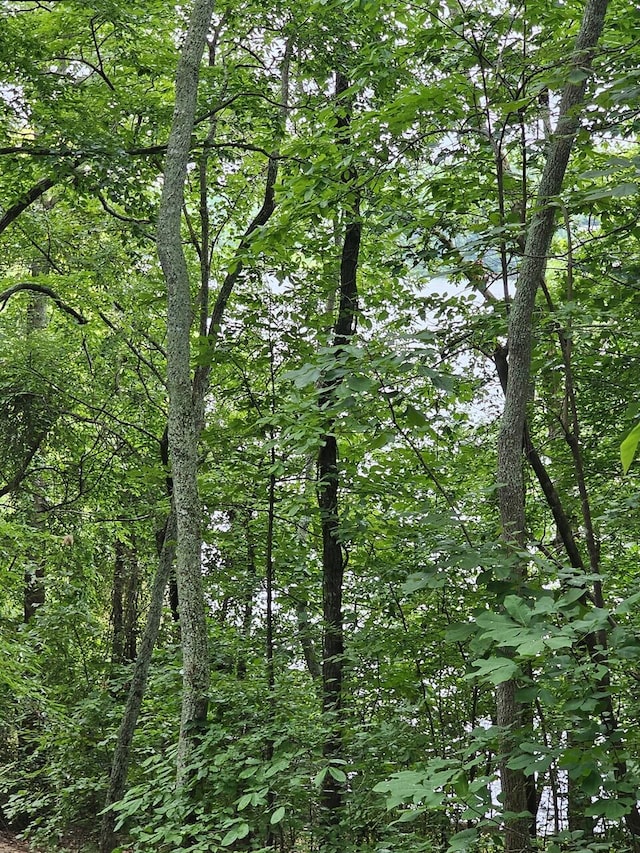13652 Tonja Ln S, Soddy-Daisy, TN 37379 - photo 29